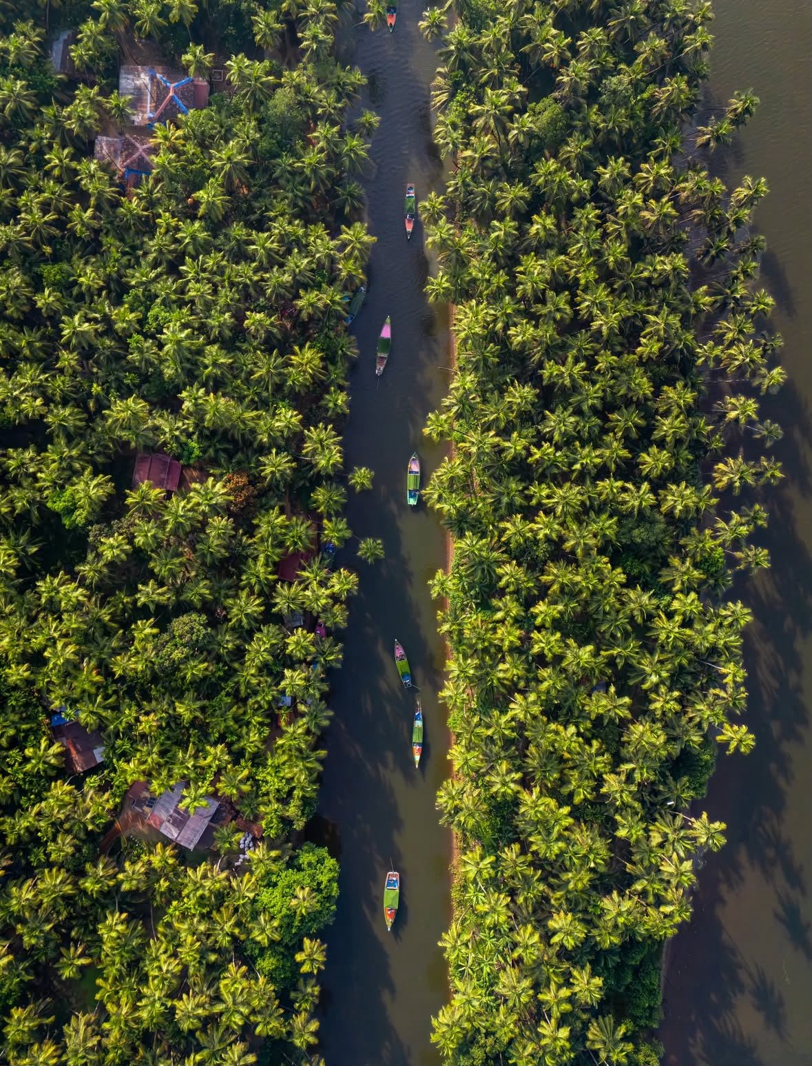 Honnavar Karnataka — stunning aerial view of backwaters with boats navigating through coconut grove channels
